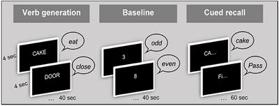 A Functional MRI Paradigm Suitable for Language and Memory Mapping in Pediatric Temporal Lobe Epilepsy